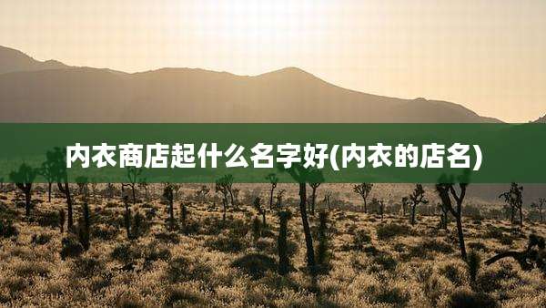 内衣商店起什么名字好(内衣的店名)