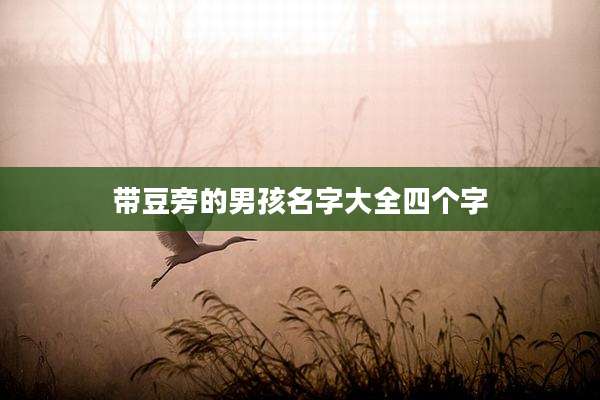 带豆旁的男孩名字大全四个字