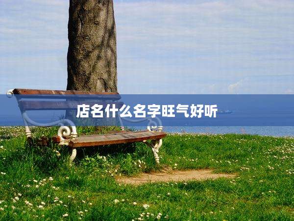 店名什么名字旺气好听