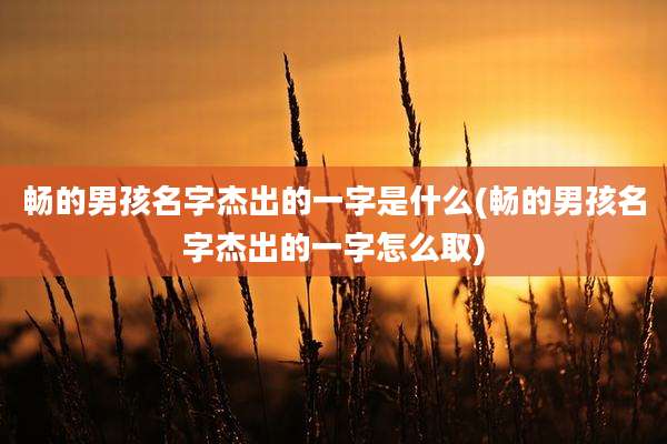 畅的男孩名字杰出的一字是什么(畅的男孩名字杰出的一字怎么取)