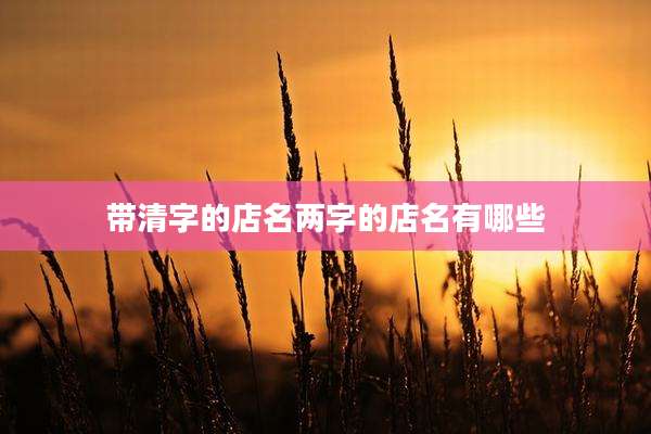 带清字的店名两字的店名有哪些