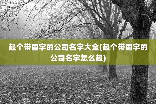 起个带固字的公司名字大全(起个带固字的公司名字怎么起)