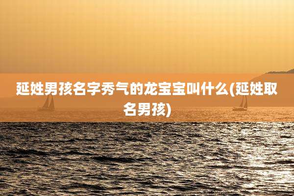 延姓男孩名字秀气的龙宝宝叫什么(延姓取名男孩)