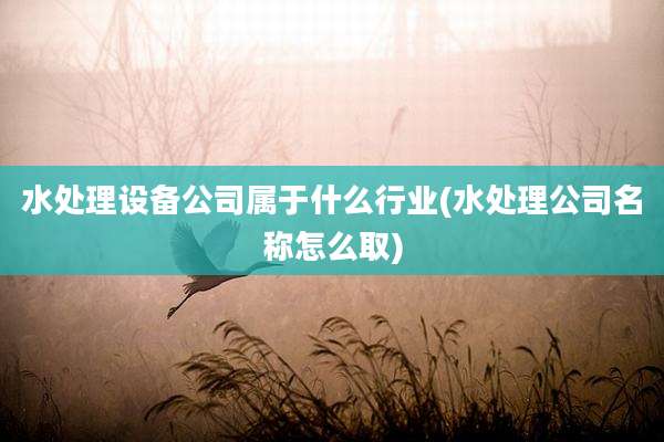 水处理设备公司属于什么行业(水处理公司名称怎么取)