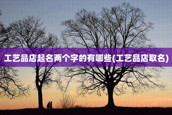 工艺品店起名两个字的有哪些(工艺品店取名)