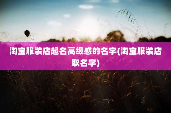 淘宝服装店起名高级感的名字(淘宝服装店取名字)