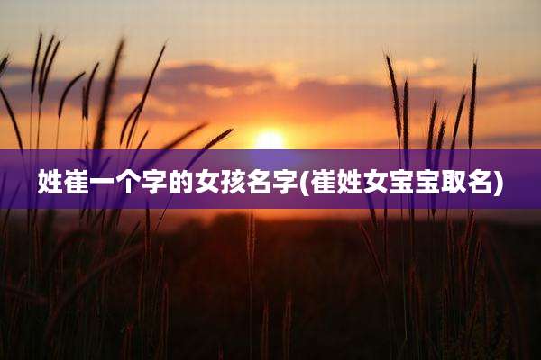 姓崔一个字的女孩名字(崔姓女宝宝取名)