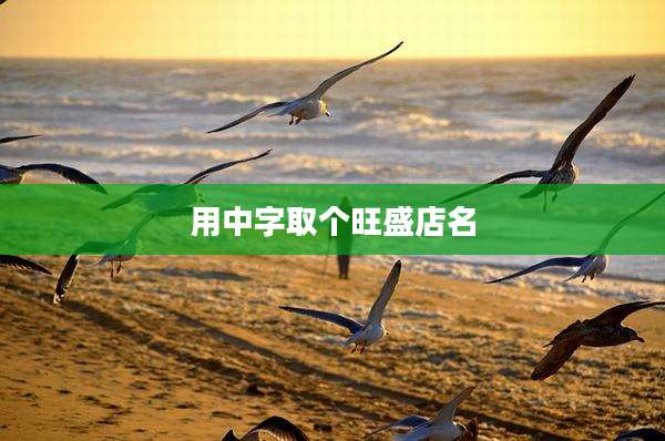 用中字取个旺盛店名