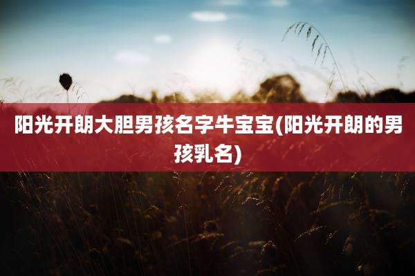 阳光开朗大胆男孩名字牛宝宝(阳光开朗的男孩乳名)