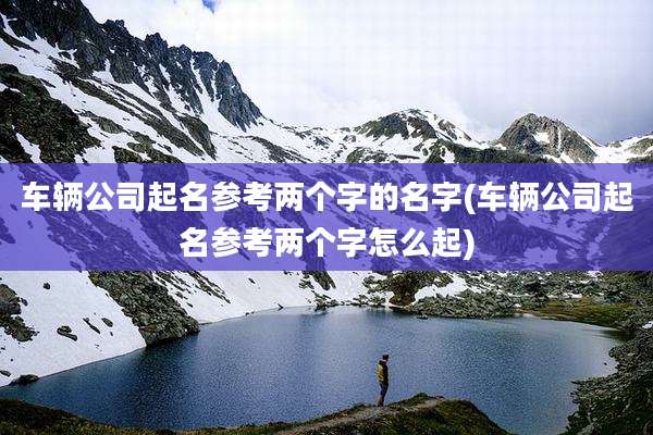 车辆公司起名参考两个字的名字(车辆公司起名参考两个字怎么起)