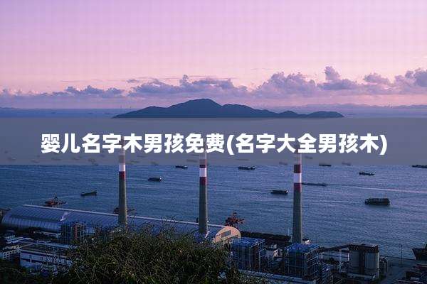 婴儿名字木男孩免费(名字大全男孩木)