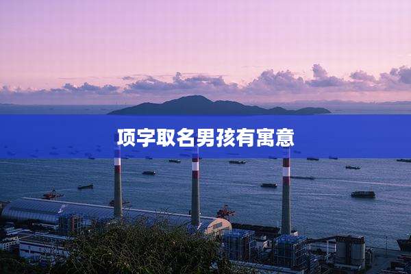 项字取名男孩有寓意
