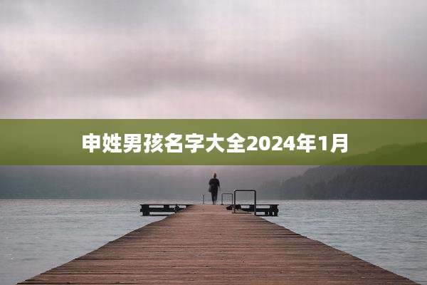 申姓男孩名字大全2024年1月