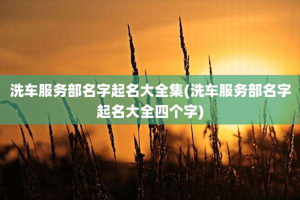 洗车服务部名字起名大全集(洗车服务部名字起名大全四个字)