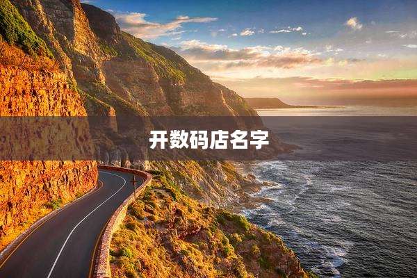 开数码店名字
