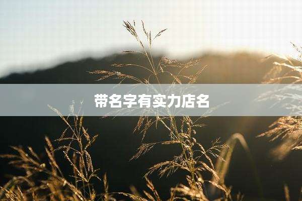 带名字有实力店名