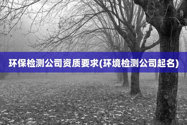 环保检测公司资质要求(环境检测公司起名)