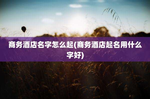 商务酒店名字怎么起(商务酒店起名用什么字好)