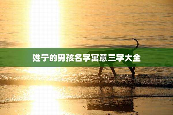 姓宁的男孩名字寓意三字大全