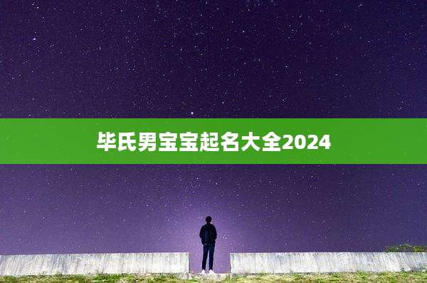 毕氏男宝宝起名大全2024