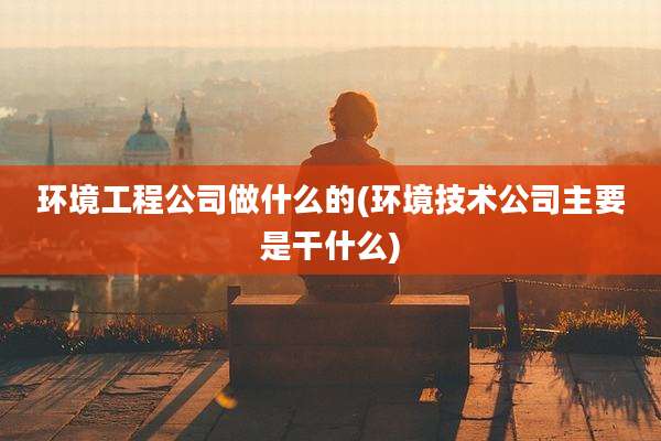 环境工程公司做什么的(环境技术公司主要是干什么)