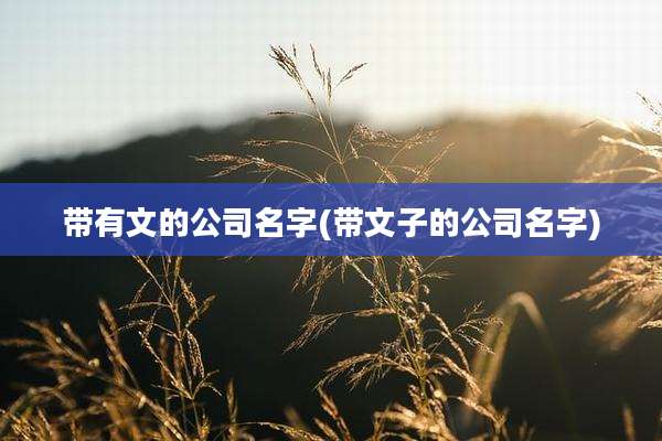 带有文的公司名字(带文子的公司名字)