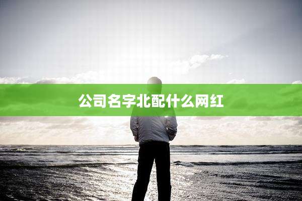 公司名字北配什么网红