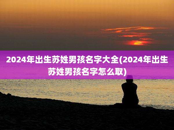 2024年出生苏姓男孩名字大全(2024年出生苏姓男孩名字怎么取)