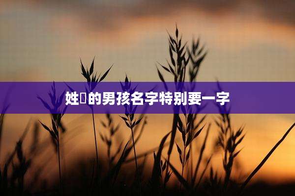 姓冮的男孩名字特别要一字