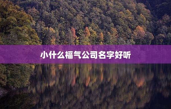 小什么福气公司名字好听