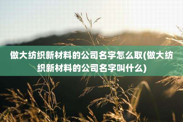 做大纺织新材料的公司名字怎么取(做大纺织新材料的公司名字叫什么)