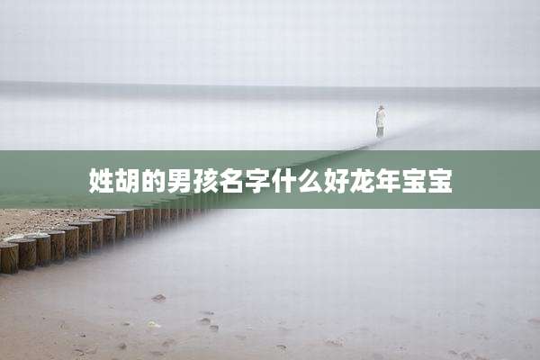 姓胡的男孩名字什么好龙年宝宝
