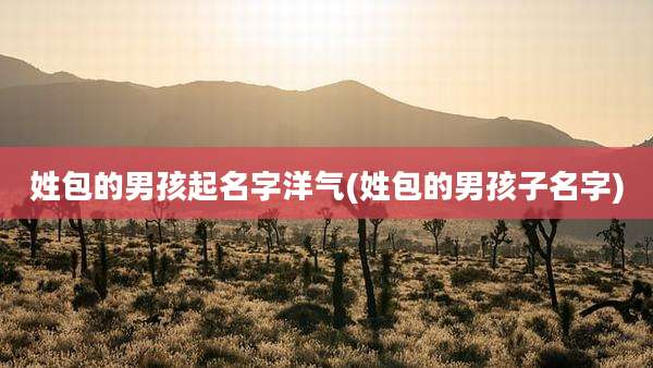 姓包的男孩起名字洋气(姓包的男孩子名字)