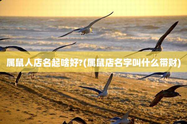 属鼠人店名起啥好?(属鼠店名字叫什么带财)