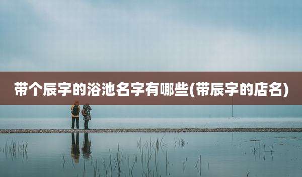 带个辰字的浴池名字有哪些(带辰字的店名)