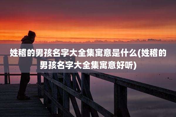 姓稽的男孩名字大全集寓意是什么(姓稽的男孩名字大全集寓意好听)