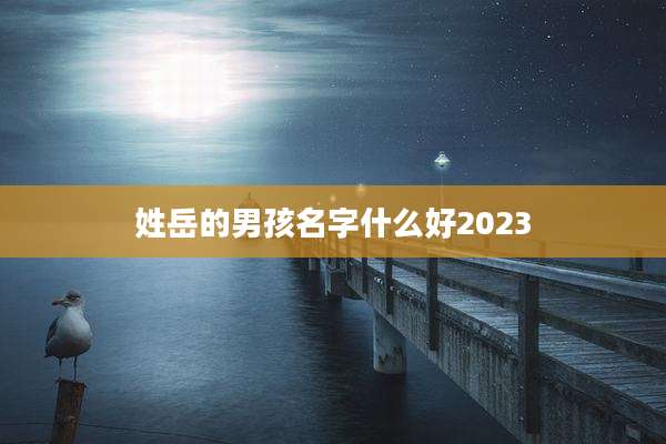 姓岳的男孩名字什么好2023