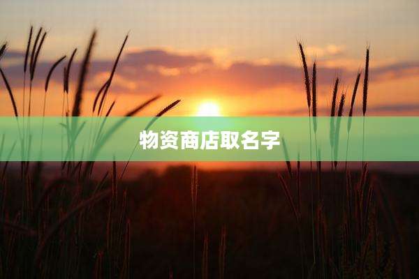 物资商店取名字