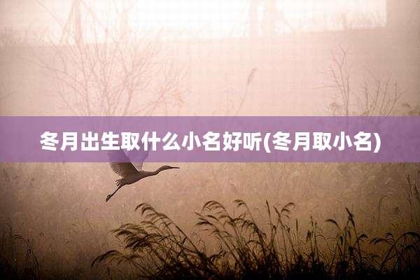 冬月出生取什么小名好听(冬月取小名)
