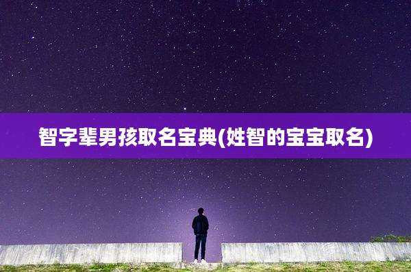 智字辈男孩取名宝典(姓智的宝宝取名)
