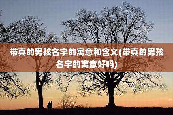 带真的男孩名字的寓意和含义(带真的男孩名字的寓意好吗)