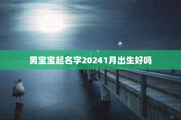 男宝宝起名字20241月出生好吗