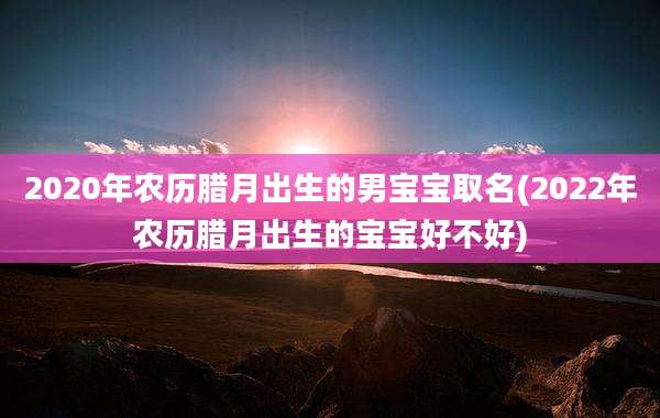 2020年农历腊月出生的男宝宝取名(2022年农历腊月出生的宝宝好不好)