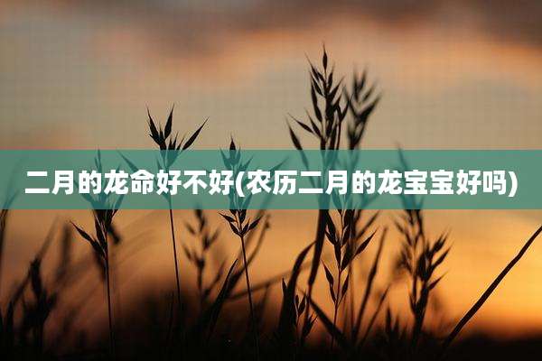 二月的龙命好不好(农历二月的龙宝宝好吗)