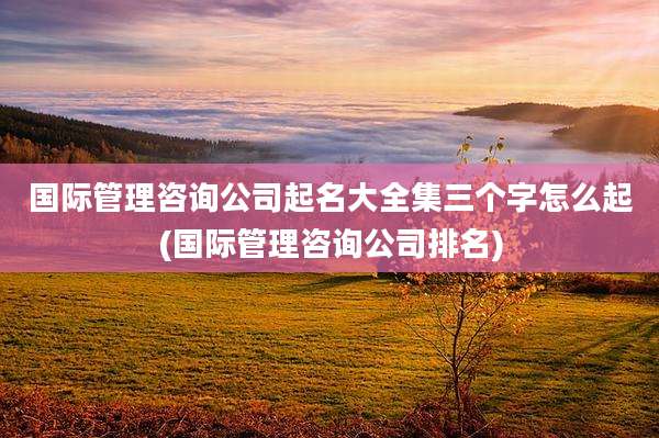 国际管理咨询公司起名大全集三个字怎么起(国际管理咨询公司排名)