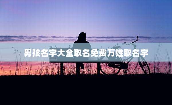 男孩名字大全取名免费万姓取名字