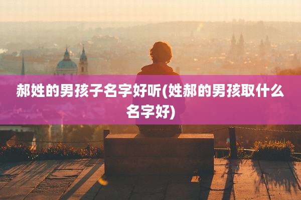 郝姓的男孩子名字好听(姓郝的男孩取什么名字好)