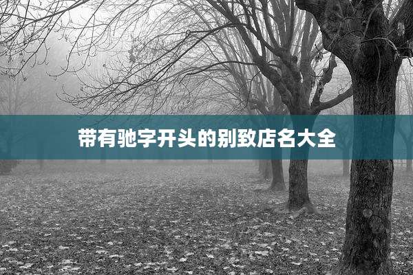 带有驰字开头的别致店名大全