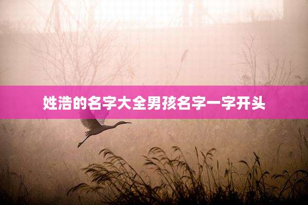 姓浩的名字大全男孩名字一字开头