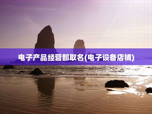 电子产品经营部取名(电子设备店铺)